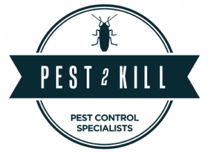 Pest2Kill